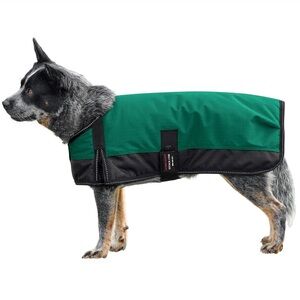 Schneider’s Green Waterproof Dog Coat